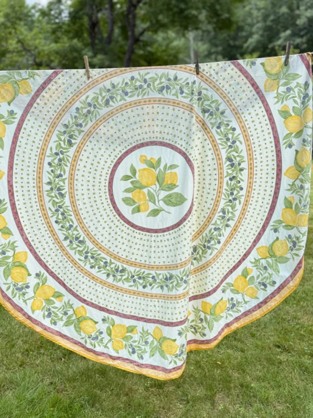 Poupees Yolande 68in Round Tablecloth Waterproof Cotton France Lemons Olives